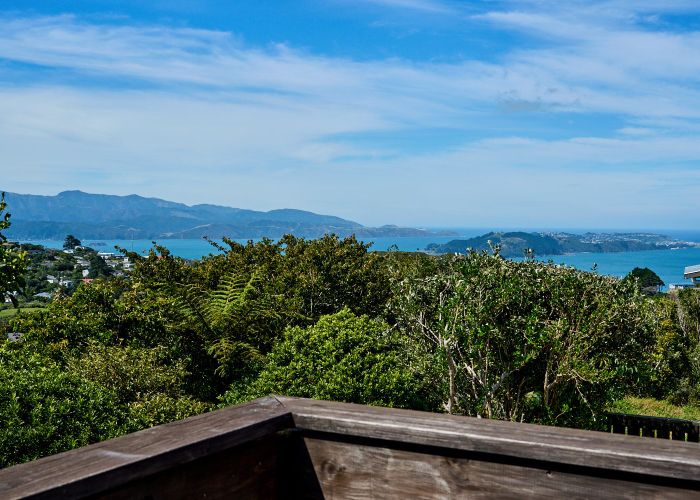  at 14 Ruskin Road, Newlands, Wellington, Wellington