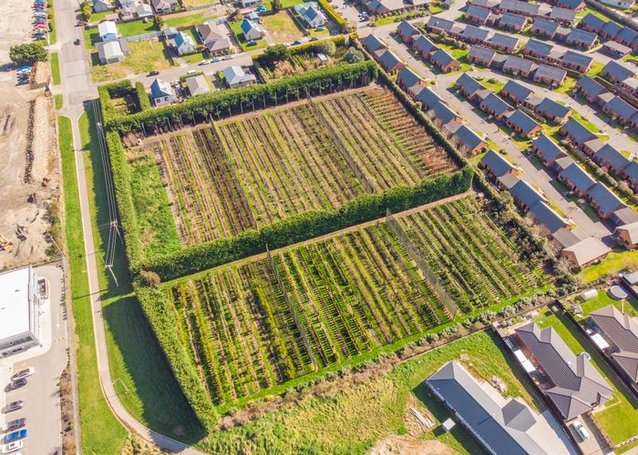  at 68 Gimblett Street, Waikiwi, Invercargill