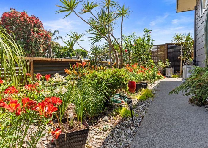  at 211A Range Road, Papamoa, Tauranga, Bay Of Plenty