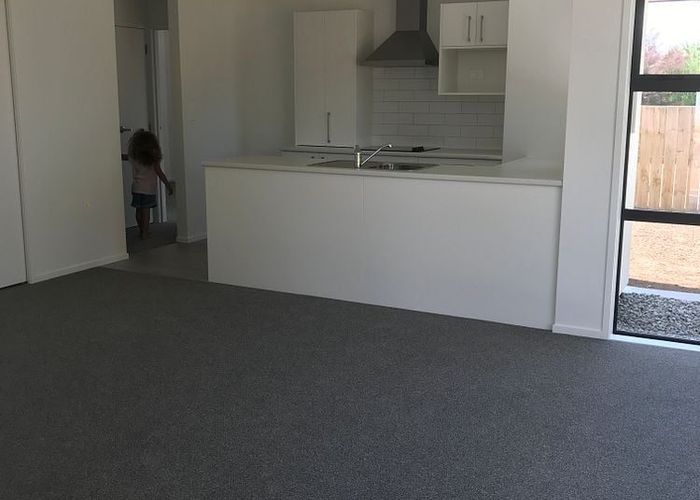  at 1/2 McNicol Street, Fairfield, Hamilton