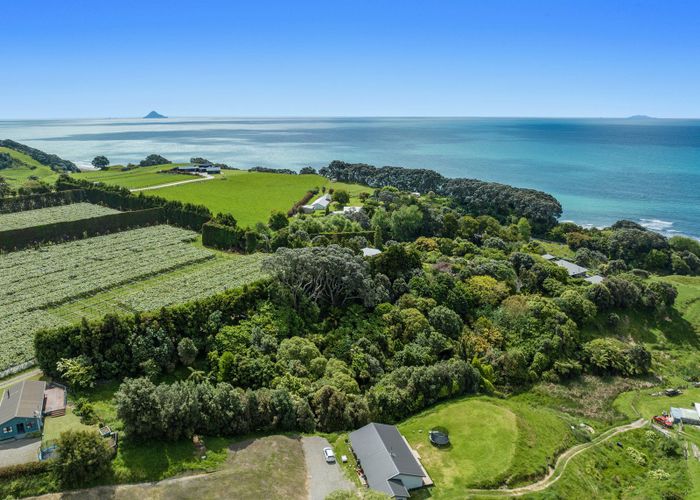  at 8A Thompson Road, Opotiki