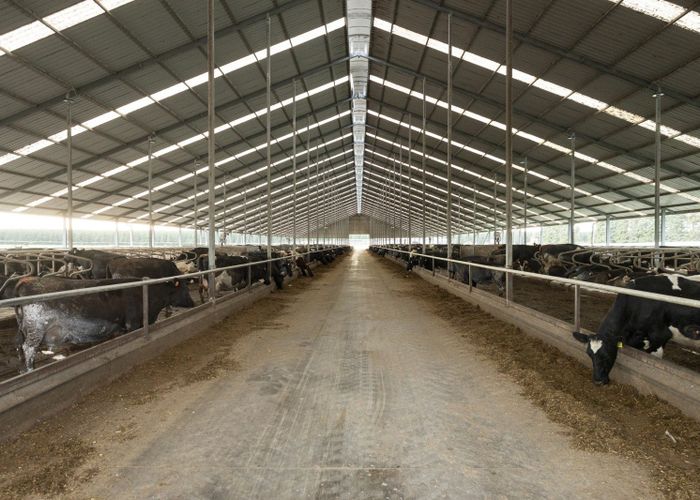  at 1444 Maronan Valetta Road, Mayfield, Ashburton, Canterbury