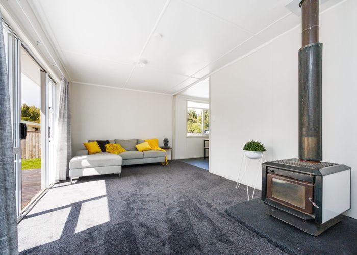  at 66a Ruamahanga Crescent, Terrace End, Palmerston North, Manawatu / Whanganui