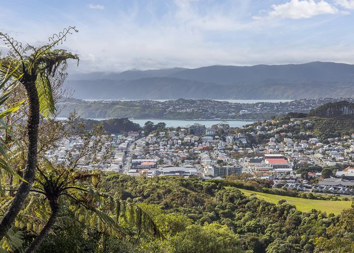  at 31 Havelock Street, Mornington, Wellington, Wellington