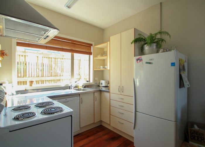  at 14B Stoke Street (Sunny, quiet 1-bedroom, new appliances, near centre of Newtown), Newtown, Wellington, Wellington
