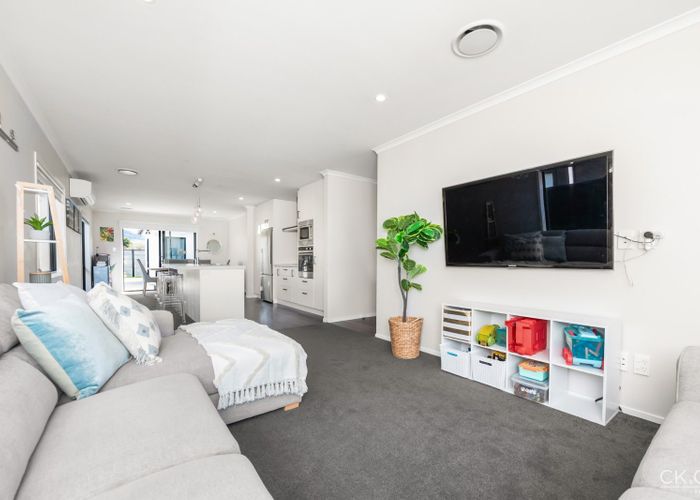  at 38 Te Kaeaea Cres, Wallaceville, Upper Hutt, Wellington