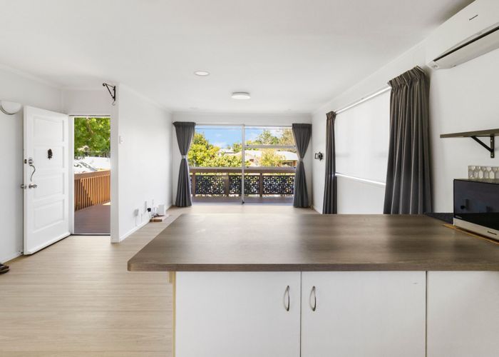  at 217 Halsey Drive, Lynfield, Auckland City, Auckland