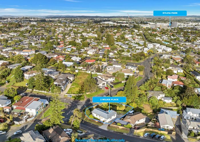  at 2 Wilkie Place, Mount Wellington, Auckland City, Auckland