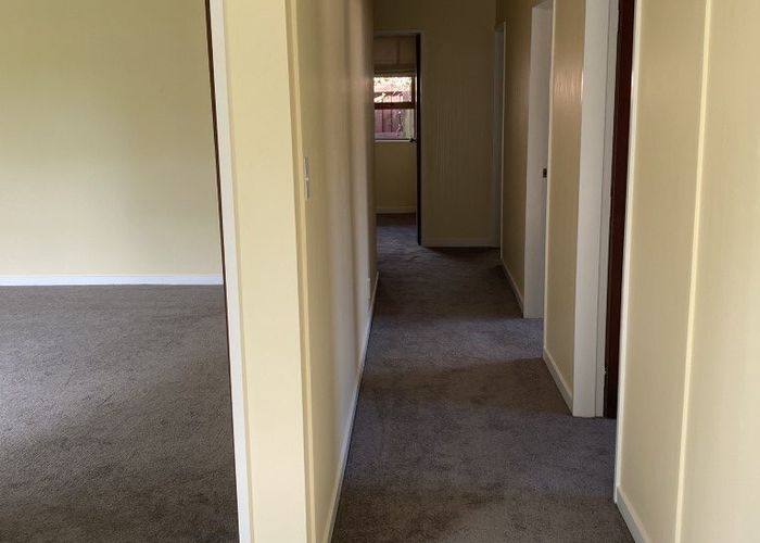  at 8 Brackendale Place, Burnside, Christchurch City, Canterbury