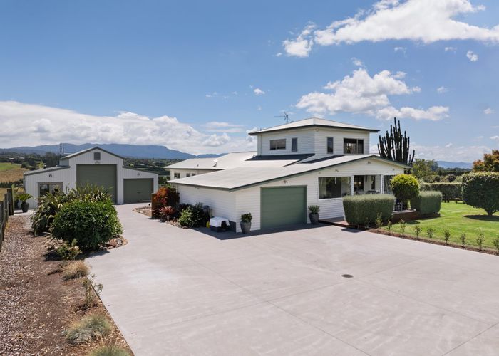  at 438 Youngson Road, Whakamarama, Western Bay Of Plenty, Bay Of Plenty