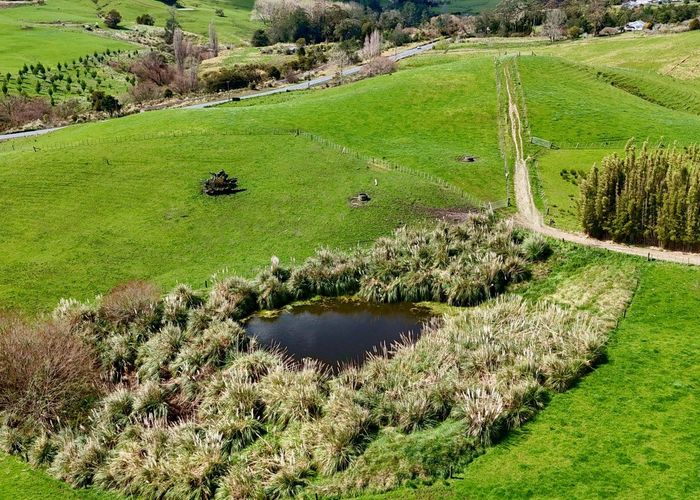  at 123 Whakapirau Road, Wellsford, Rodney, Auckland