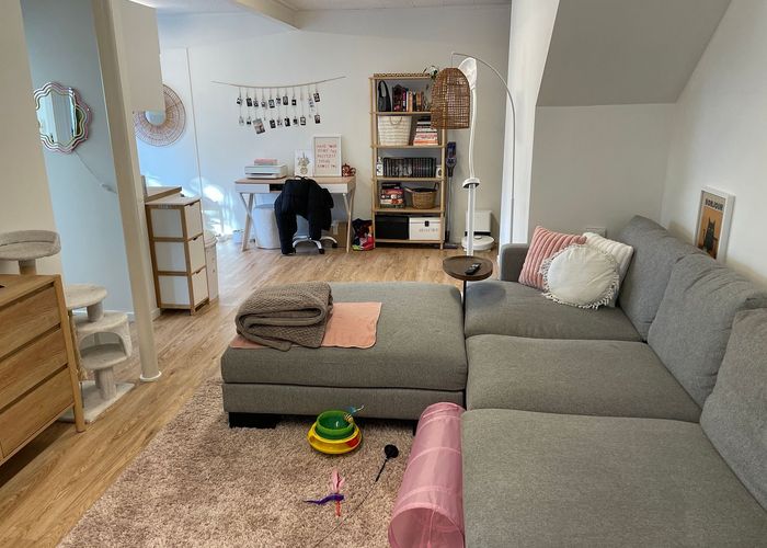  at 6 Shadwell Place, Saint Heliers, Auckland City, Auckland