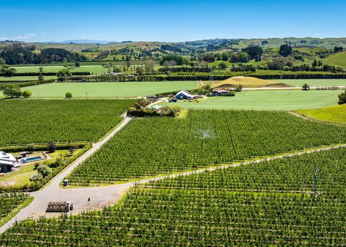  at 490 Puketitiri Road, Puketapu, Napier South, Napier, Hawke's Bay