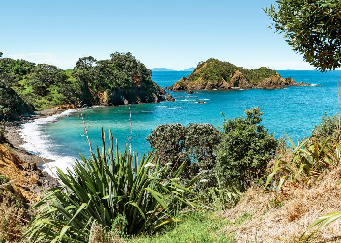  at 37B Dolphin Place, Tutukaka, Whangarei, Northland