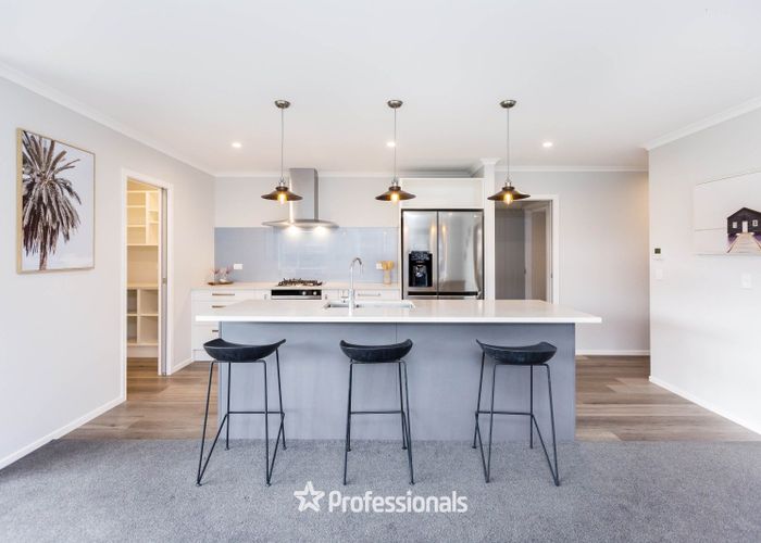  at 107 Mawai Hakona Drive, Wallaceville, Upper Hutt, Wellington