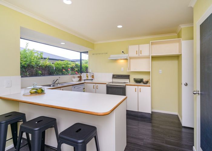  at 36 Beresford Street, Takaro, Palmerston North