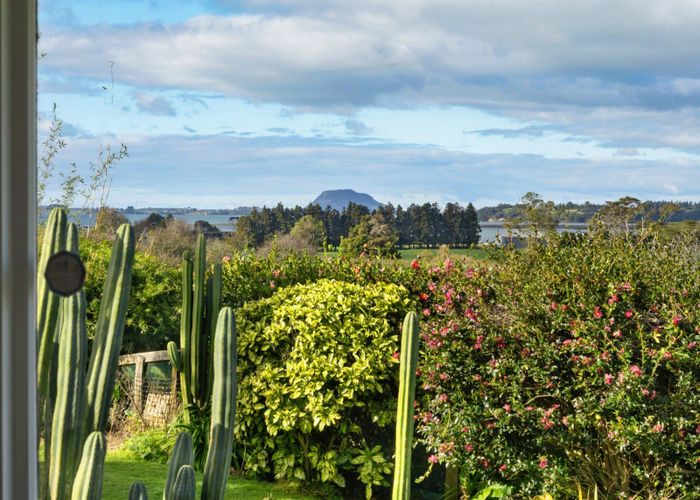  at 91 Morton Road, Aongatete, Western Bay Of Plenty, Bay Of Plenty