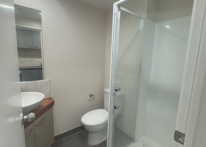  at 313/135 Hobson Street, Auckland Central, Auckland