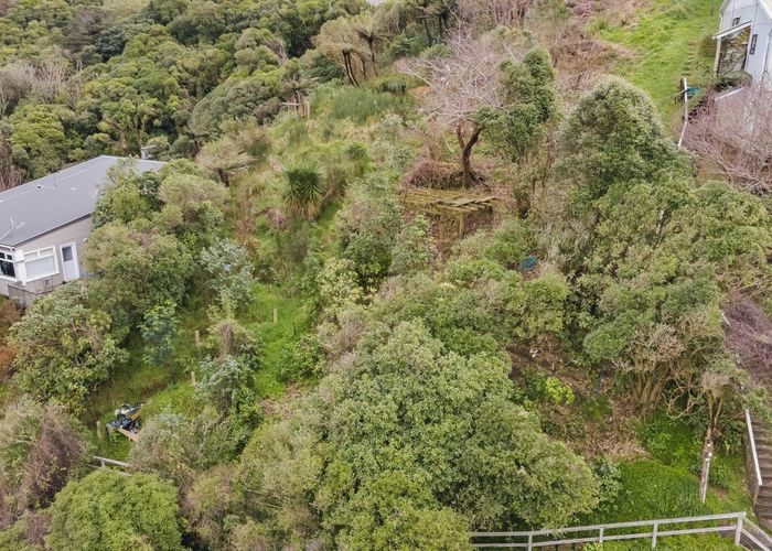  at 156 Raroa Road, Aro Valley, Wellington