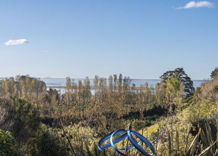  at 101 Turntable Hill Road, Whakamarama, Western Bay Of Plenty, Bay Of Plenty