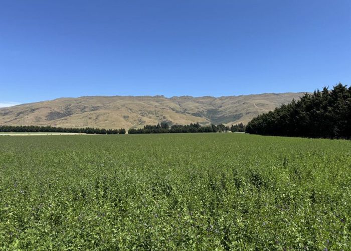  at 626 Gladbrook Road, Middlemarch, Dunedin, Otago