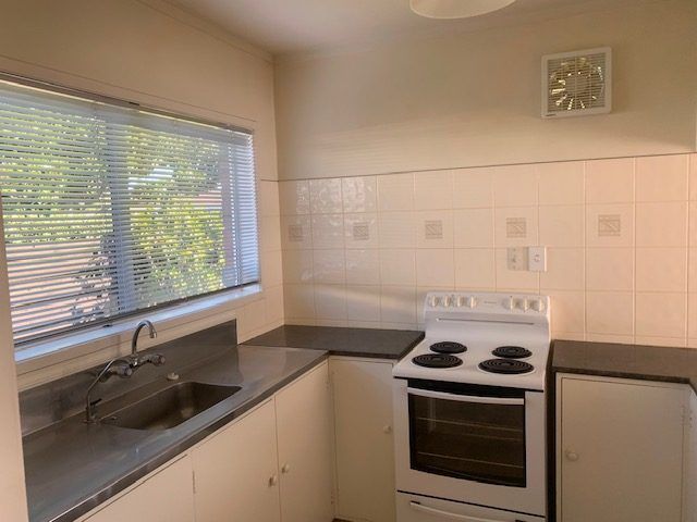  at 16C Burrows Street, Tauranga South, Tauranga
