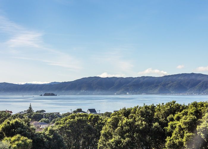  at 74 Falkirk Avenue, Seatoun, Wellington, Wellington