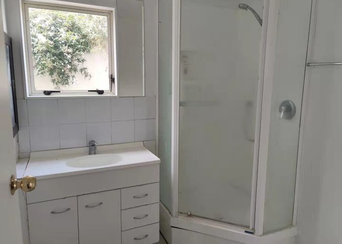  at 12  Preston Ave, Mount Albert, Auckland City, Auckland