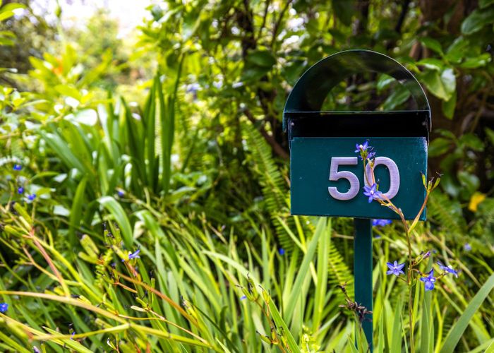  at 50 Tiri View Road, Palm Beach, Waiheke Island