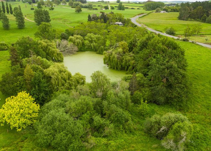  at 1768 Morrinsville Walton Road, Matamata, Matamata-Piako, Waikato