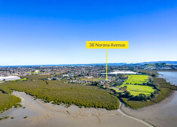  at 38 Norana Avenue, Favona, Auckland