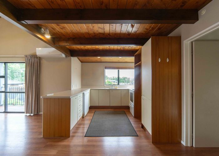  at 19A Palmerston Street, Hamilton City Central, Hamilton, Waikato