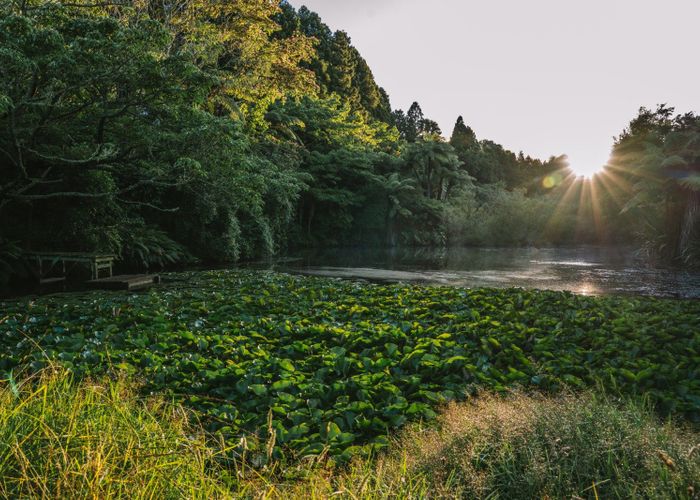  at 70A Neewood Road, Ohauiti, Tauranga