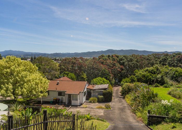  at 1163 Purangi Road, Ferry Landing, Cooks Beach, Thames-Coromandel, Waikato