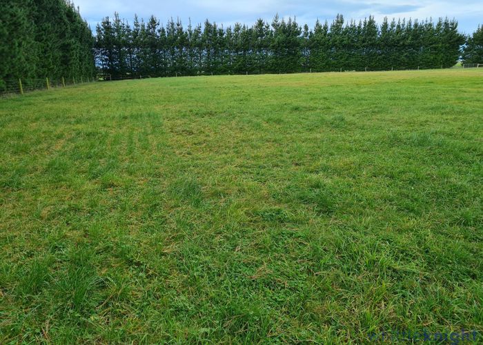  at 143 Karanga Road, Leeston