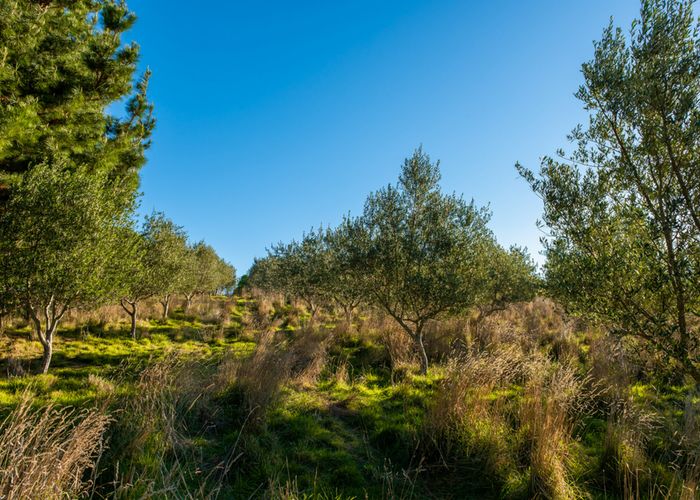  at 362 Redwood Pass Road, Redwood Pass