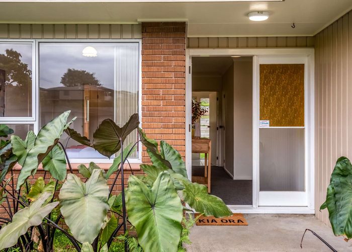  at 19 Shelley Street, Otumoetai, Tauranga