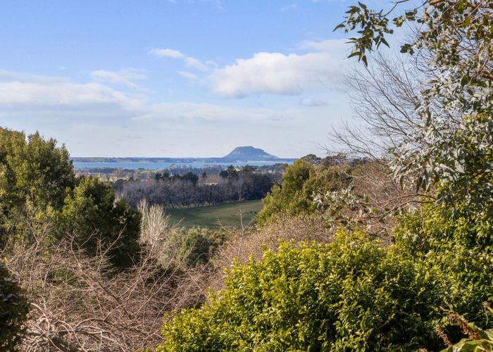 For sale 173 Thompsons Track, Katikati, Western Bay Of Plenty, Bay Of