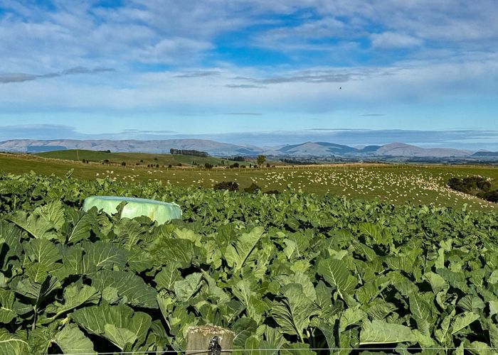  at 140 + 612 Reserve Road, Tuapeka Mouth, Clutha, Otago