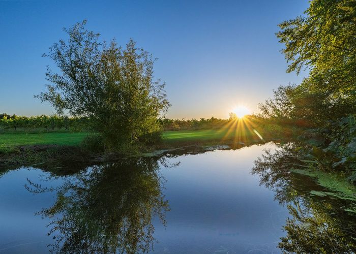  at 838 Rapaura Road, Rapaura, Marlborough, Marlborough