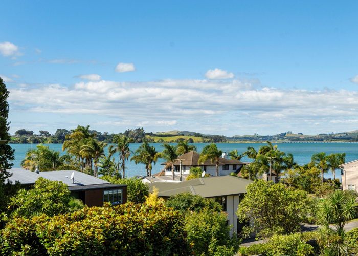  at 49 Harvey Street, Avenues, Tauranga, Bay Of Plenty