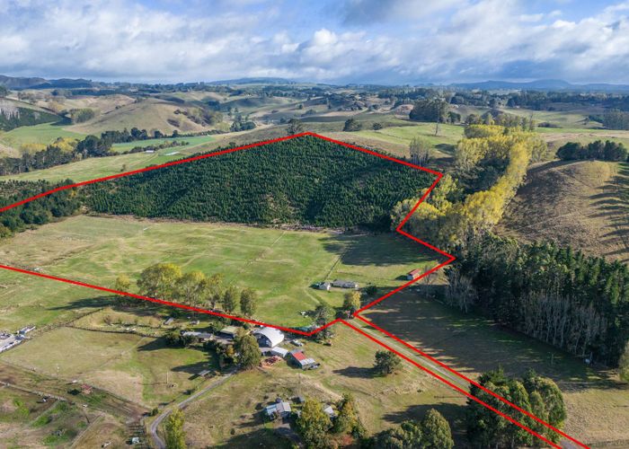  at 201 State Highway 5, Taupo