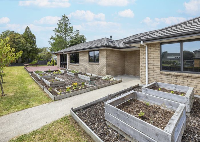  at 11 Haumoana Street, Koutu, Rotorua
