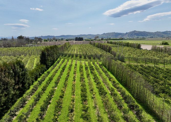 at 19 Pilmer Road, Makauri, Gisborne, Gisborne