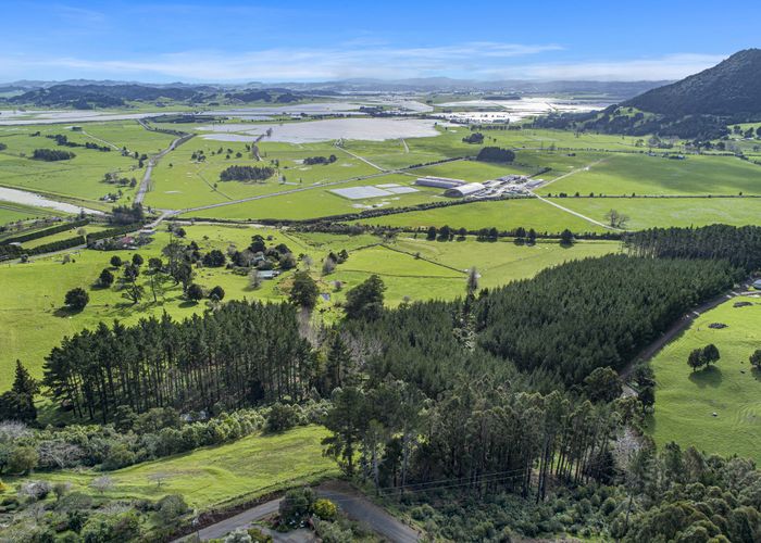  at 466 Apotu Road, Kamo