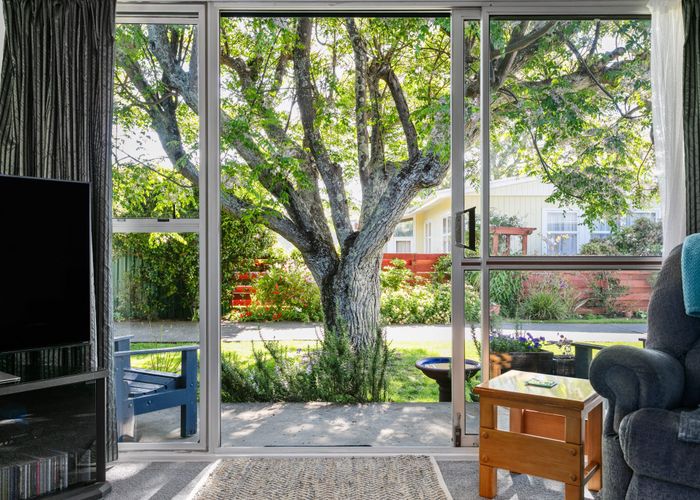 at 309 Stout Street, Riverdale, Gisborne
