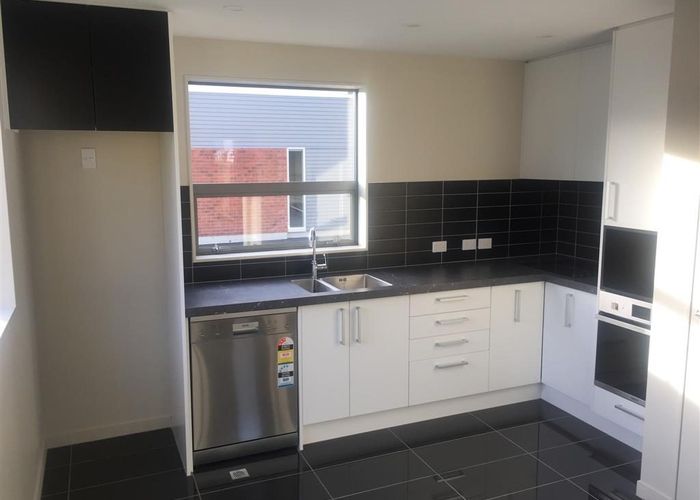  at 19/31 Princess Terrace, Newtown, Wellington, Wellington