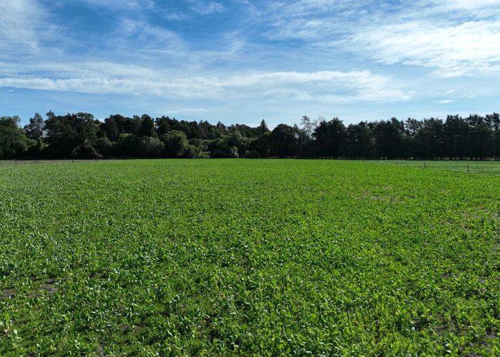  at 72 Taumata Island Road, Carterton, Carterton, Wellington