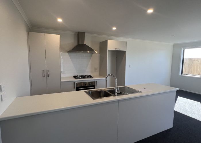  at 102 Pragma Rise, Rototuna, Hamilton, Waikato