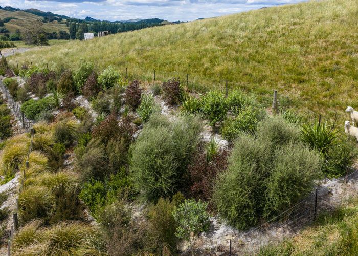  at Lot 2, 2067 Elsthorpe Road, Elsthorpe, Central Hawke's Bay, Hawke's Bay